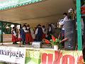 spot folk 07_21